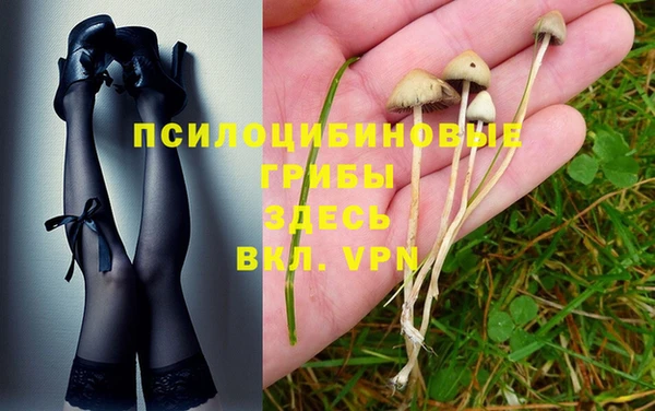 a pvp Нея