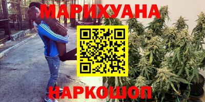 прущие крисы Балаково