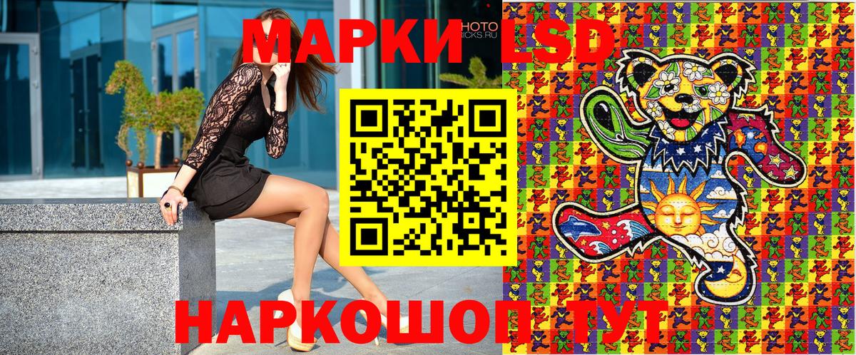 Галлюциногенные грибы Ставрополь