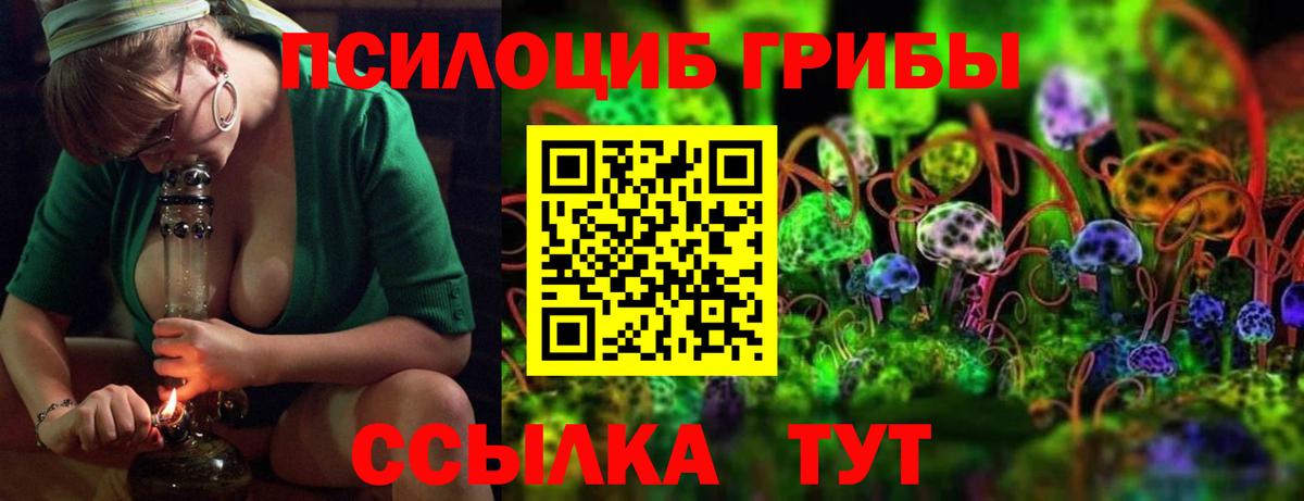 Галлюциногенные грибы MAGIC MUSHROOMS Ставрополь