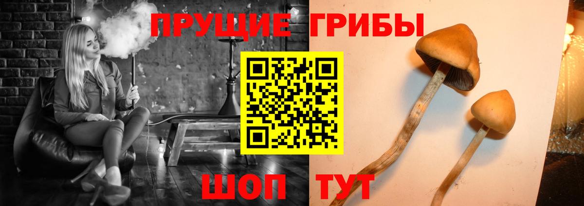 Псилоцибиновые грибы мухоморы  Вход с VPN  Галлюциногенные грибы MAGIC MUSHROOMS  Ставрополь 